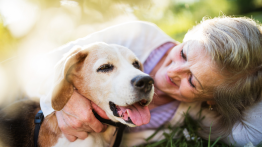 Adopting a senior dog